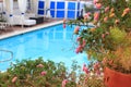 Colorful Lantana flowers near a pool at a resort