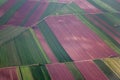 Colorful lavander fields viewed from the airplane Royalty Free Stock Photo