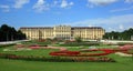 Colorful lawn with bright flowers in front of the Schonbbrunn in Vienna, Austria