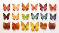 Colorful butterflies and leaf isolated on white background, season change concept, autumn season