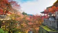 colorful from leaf of tree with sunshine and blue sky at kiyomizu temple japan in autumn fall Royalty Free Stock Photo