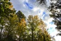 Colorful leafy forest and blue sky in Spain Royalty Free Stock Photo