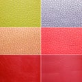 Colorful leather patterns