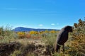 Mountain in Galisteo New Mexico