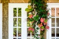 Colorful leaves in fall near a windowsill Royalty Free Stock Photo