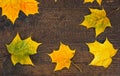 Colorful leaves in the fall on wooden board. Autumn scene. Royalty Free Stock Photo
