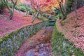 Colorful leaves in the garden at Tofukuji temple, landmark and famous for tourist attractions in Kyoto, Japan. Autumn foliage Royalty Free Stock Photo