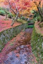 Colorful leaves in the garden at Tofukuji temple, landmark and famous for tourist attractions in Kyoto, Japan. Autumn foliage Royalty Free Stock Photo