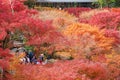 Colorful leaves in the garden at Tofukuji temple, landmark and famous for tourist attractions in Kyoto, Japan. Autumn foliage Royalty Free Stock Photo