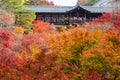 Colorful leaves in the garden at Tofukuji temple, landmark and famous for tourist attractions in Kyoto, Japan. Autumn foliage Royalty Free Stock Photo