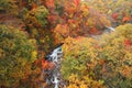 Colorful leaves in Gully Matsukawa