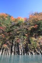 Colorful leaves in Gully Matsukawa