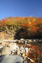 Colorful leaves in Gully Matsukawa