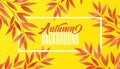 Colorful leaves. Red Leaf on yellow background. Autumn advertising header or banner design. Abstract Vector Illustration