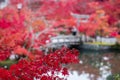 Colorful leaves and scenery Stone bridge and pond background in Eikando temple, beautiful nature garden in Autumn foliage season, Royalty Free Stock Photo