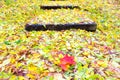 Colorful leaves on the steps of staircase Royalty Free Stock Photo