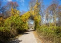 Colorful leaves surrounding a dirt parh in Gardiners park