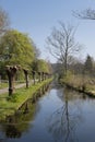 Colorful leaves on trees around a pond in a dutch park, spring background Royalty Free Stock Photo