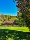 Lovely green grass on Michigan golf course with colorful fall trees