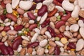 Colorful Legume (bean) Background Royalty Free Stock Photo