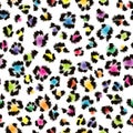 Colorful leopard fur background Royalty Free Stock Photo