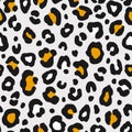 Colorful leopard seamless pattern. Fashion stylish vector texture