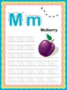 Colorful letter M Uppercase and Lowercase Tracing alphabets start with Vegetables and fruits daily writing practice worksheet,