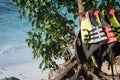 Colorful life jackets hanging on a rack on a tropical beach