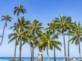 Colorful Lifeguard Station Palm Trees Waikiki Beach Honolulu Hawaii Royalty Free Stock Photo