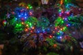 Colorful lights on the christmas tree. Christmas lights garland on the tree branch Royalty Free Stock Photo