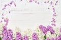 Colorful lilac flowers border on white wooden background. Top vi Royalty Free Stock Photo