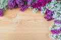 Colorful lilac flowers on wooden background Royalty Free Stock Photo