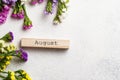 Colorful Limonium flower on white background