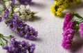 Colorful Limonium flower on white background