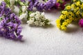 Colorful Limonium flower on white background