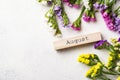 Colorful Limonium flower on white background