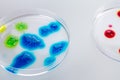 Colorful liquid drops in petri dishes. Royalty Free Stock Photo