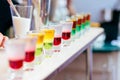 Colorful Liquor Shots with Alcohol In Cocktail Bar Royalty Free Stock Photo