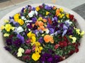 Colorful, Lively, Spring Flower Boquet