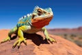 a colorful lizard basking in the sun atop a desert rock Royalty Free Stock Photo