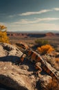 Stunning Desert Lizard Basking in Golden Sunlight on Rock Royalty Free Stock Photo