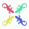 Colorful lizards silhouette isolated on white vector