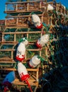 Colorful lobster fishing buoys and traps Royalty Free Stock Photo