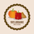 Colorful logo of organic best food with peppers pumpkin and potato
