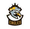 Colorful logo, sticker, emblem of a eagle. Flying bird, hunter, predator, dangerous animal, shield, lettering. Mascot Royalty Free Stock Photo