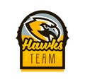 Colorful logo, sticker, emblem of a hawk. Flying bird, hunter, predator, dangerous animal, shield, lettering. Mascot