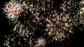Colorful looping animated fireworks on black background. Celebration loop animation for festive events such Christmas