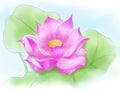 Colorful watercolor Lotus Royalty Free Stock Photo