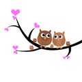 A colorful lovely owl family sitting in a tree vector illustration Royalty Free Stock Photo