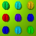 Colorful low poly brains set illustration